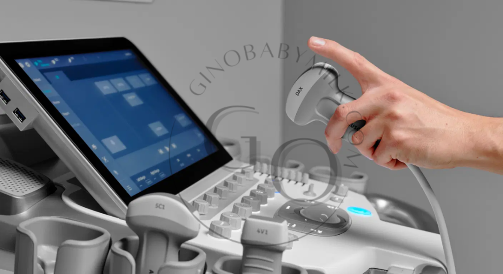 Premium Ultrasound Machine for Versatility